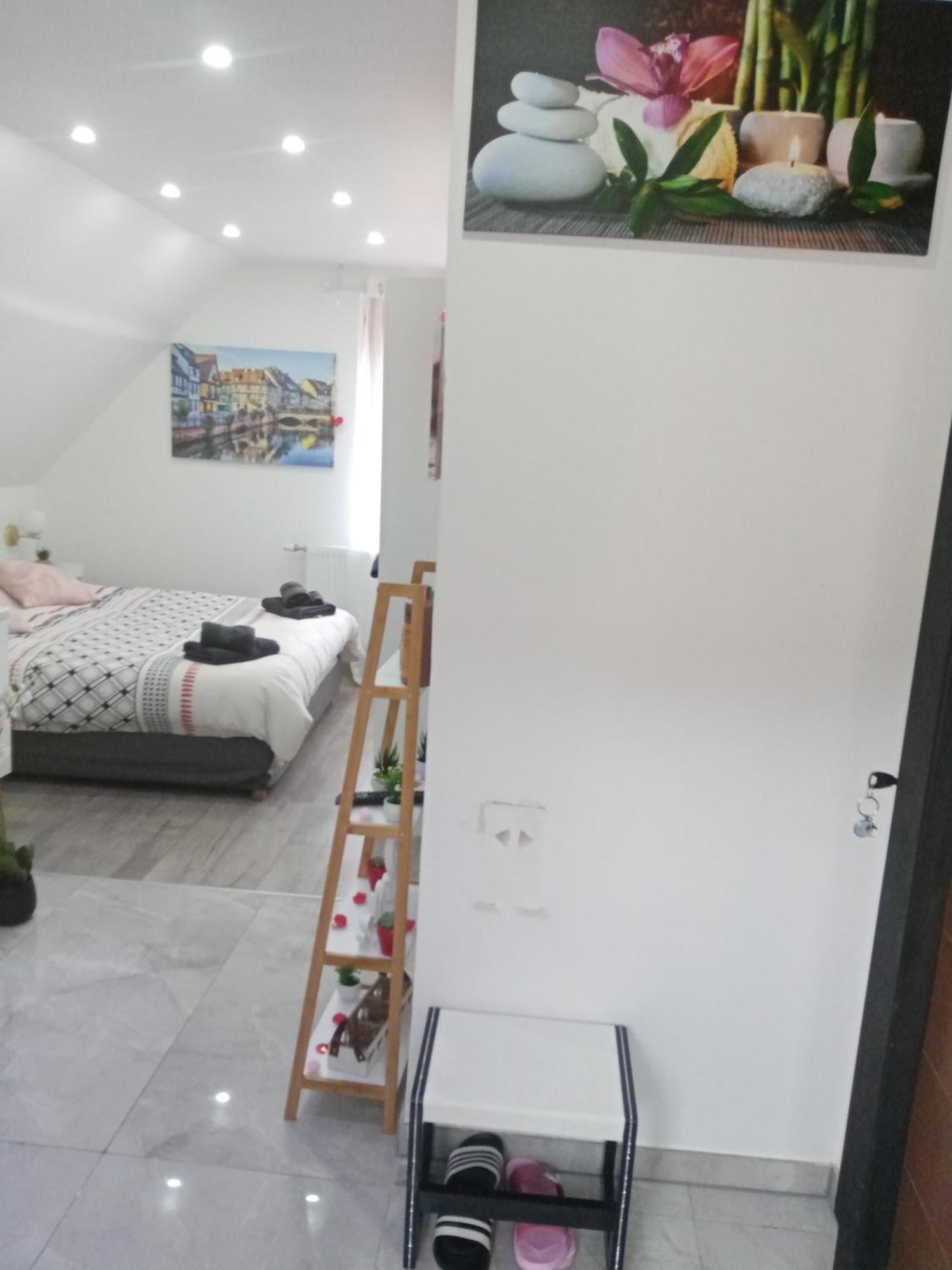 Studio Jacuzzi Au Centre Colmar Quarto foto